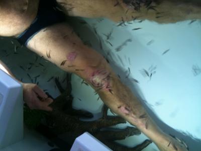 Fish-spa