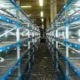 PORTA PALLETTS CON PIANETTI