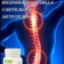 FULL MOTION GNLD NEOLIFE cartilagine artrosi artrite dito a scatto epocondilite