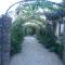 Sistemazione Viale giardino
