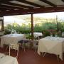 Osteria Oliveta...la limonaia..