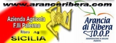 Azienda Agricola  F.lli Palermo