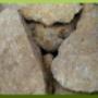 Arenaria