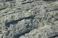 Pietra naturale bianca, gialla, beige