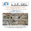 Catalogo luglio 2017