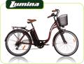 bicicletta eletttrica a pedalata assistita