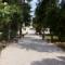 Il viale d'ingresso