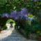 esterno giardino 2