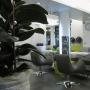 Salone