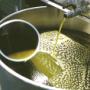 Olio extravergine di oliva L'acropoli di Puglia