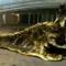 3D monster advanced photorealistic texturing - Texuring fotorealistico per creatura 3D.
