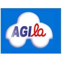 Agenzia Agila Pratiche Auto
