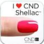 I LOVE SHELLC