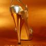 ART 4045 GOLD EDITION OROORO