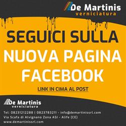 De Martinis Verniciatura srl - Alife - CE