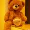 Teddy