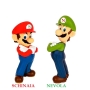 A.c.s. Di Schinaia & Nevola S.a.s.