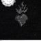 4Bild - Bisazza 3