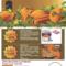 promo-autunno-4Bild