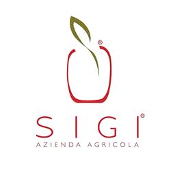 Az. Agr. Si.gi. SAS