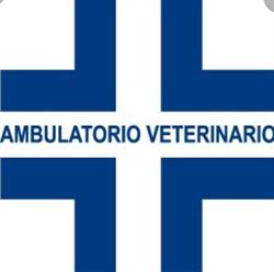 Ambulatorio Veterinario Associato Marscianese