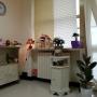 Il mio studio