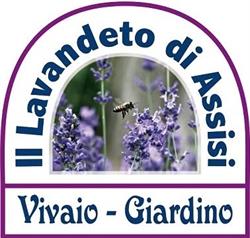 Vivaio Il Lavandeto di Assisi. Vivaio Perugia. Piante da Giardino