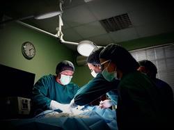 Clinica Veterinaria Due Madonne