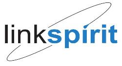 Linkspirit Sicurezza Informatica