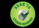 Newtonpartner S.r.l. - Studio Guggino