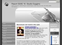 Sito di Newtonpartner S.r.l. - Studio Guggino