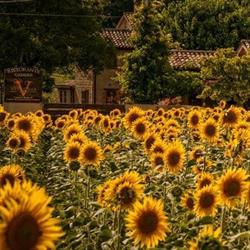 Vittoria Il Graditempo Country House