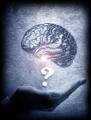 Psicoterapia Breve