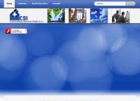 Consulting Service Italia S.r.l.