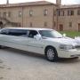 LIMOUSINE LINCOLN TOWN CAR ROYALE BIANCA