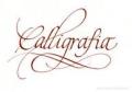 perizia calligrafica