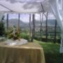 giardino1