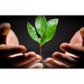 Idea. Progetto. Investimento. Business. Soddisfazione.