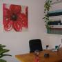 Studio Lecco (Colle B.za fraz. Nava)