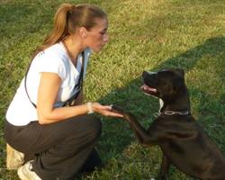 Centro Cinofilo Dog Trainer Asd