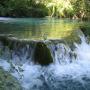 acqua viva