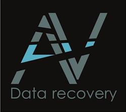 OSTIA RECUPERO DATI di Roma - Recupero dati professionale da hard disk server nas card raid san