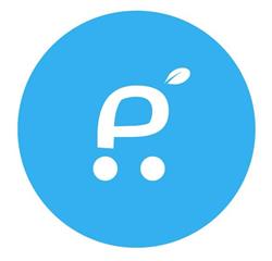 Privé SRL