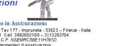 assicurazioni nesi