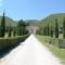 Viale di ingresso alla Tenuta Le Chiuse di Reopasto