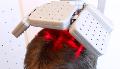 Terapia laser per capelli