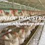 cage nipple watering equipments