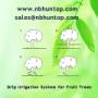 drip irrigation for fruit trees