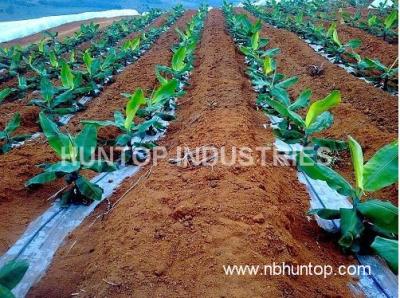 metalSprinkler-irrigation
