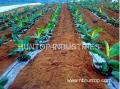 Seeking AGRICULTURE IRRIGATION Sales Business Development Manager Worldwide in Agriculture Irrigation Watering tools equipments